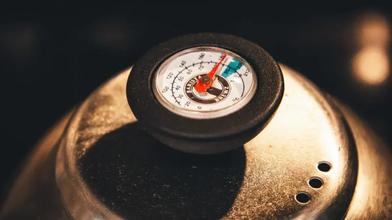 Cooking Temperature Guide for Common Foods