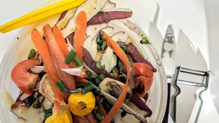How to Reduce Kitchen Waste With Simple Habits