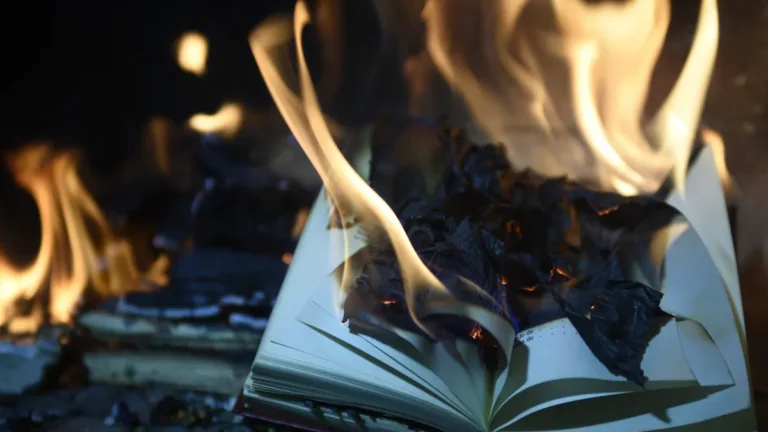 How Heat Distribution Affects Cooking Results