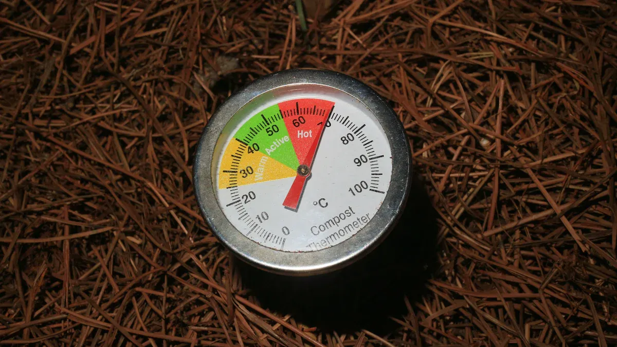 Safe Internal Temperatures