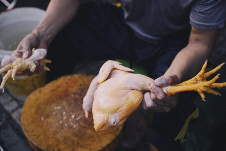 chicken thigh butchering basics