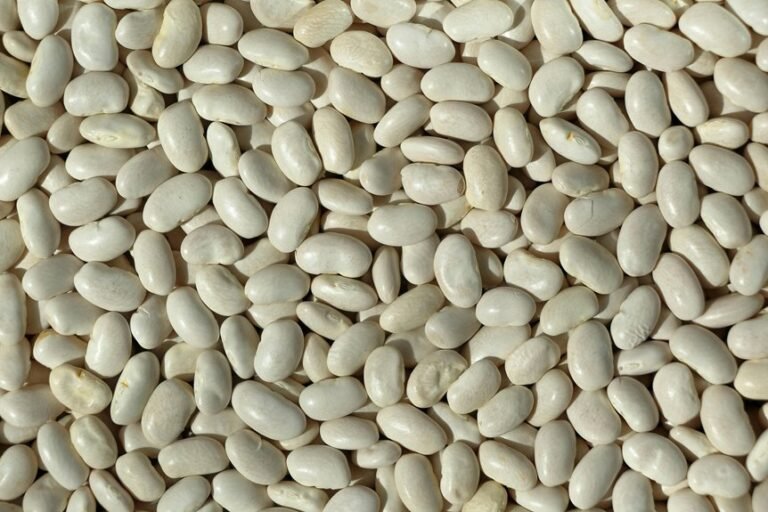 fresh stovetop cranberry beans