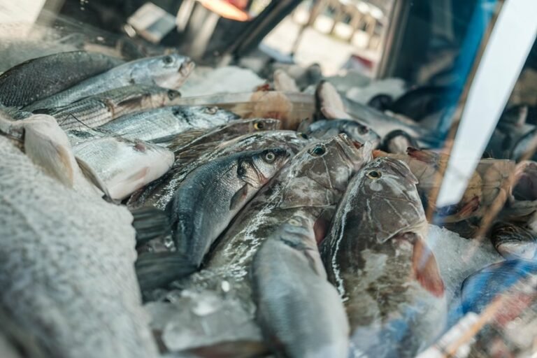 tarpon fish edibility guide